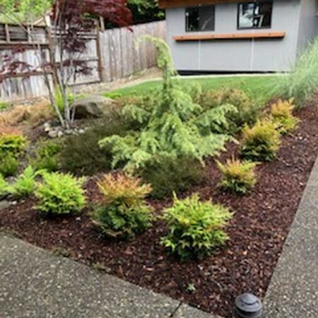 Landscaping Services