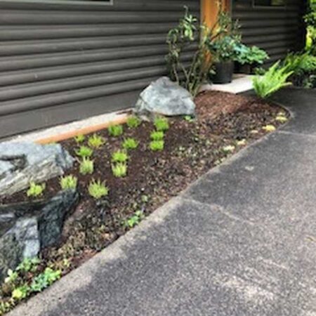 Landscaping Services