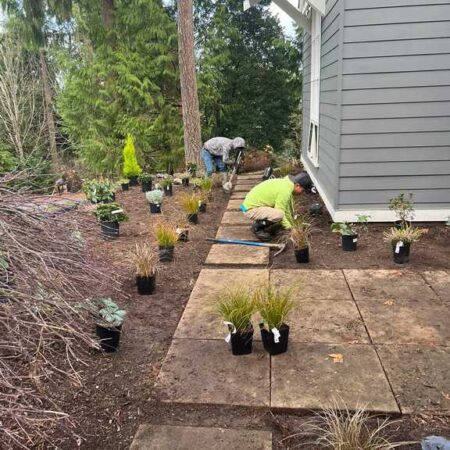 Landscaping Services