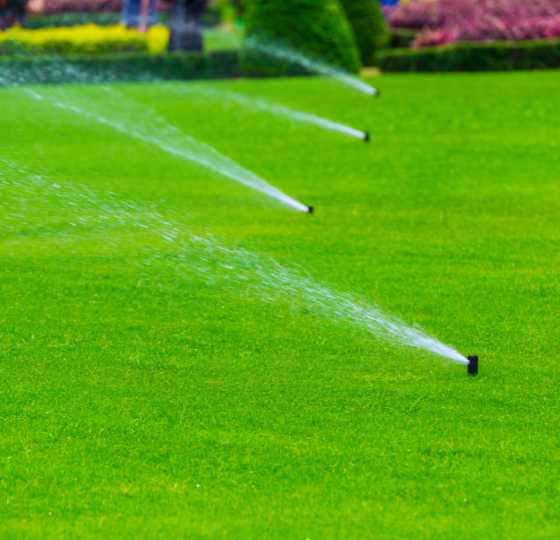 Your Full-Service Irrigation Partner in Kitsap County