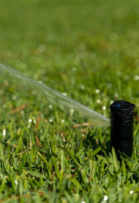 Irrigation Installation, Repair, and Renovation in Bremerton, WA