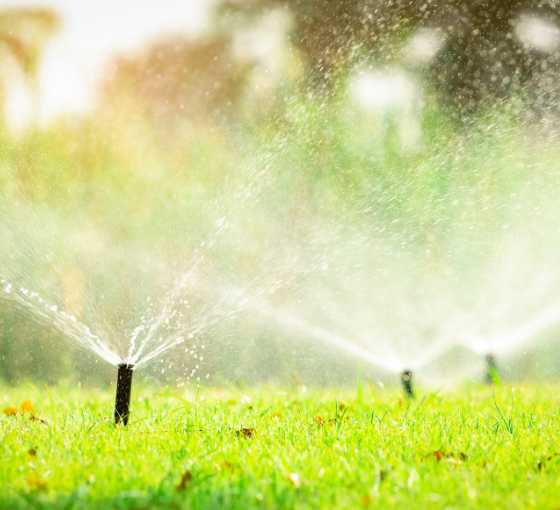 Maximize Efficiency with Bremerton Irrigation Experts