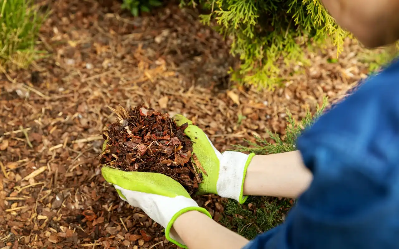 mulching secrets