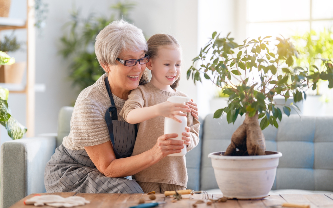 Low-maintenance plants for summer.