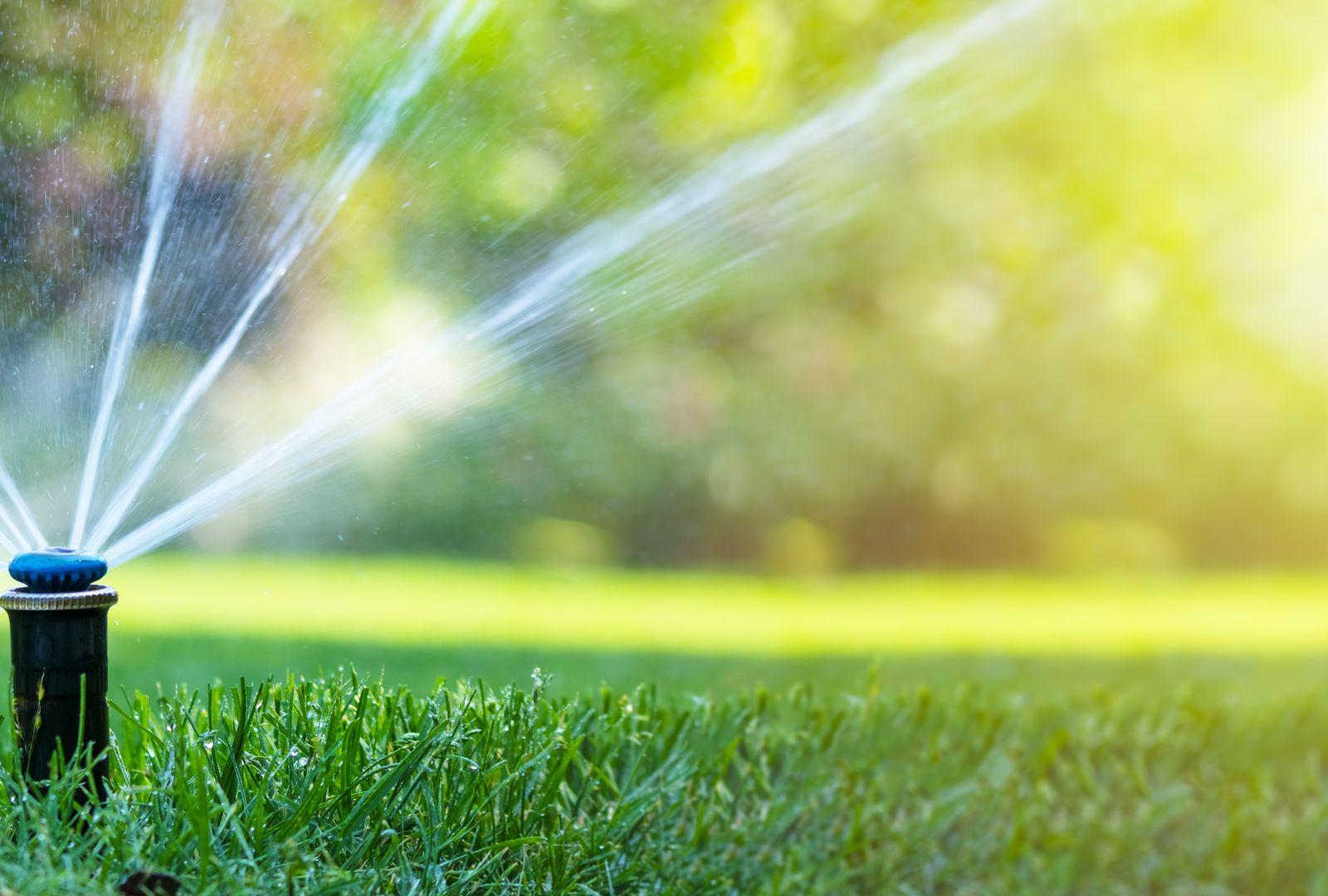 Benefits of irrigation system upgrades for efficient water use and lawn health