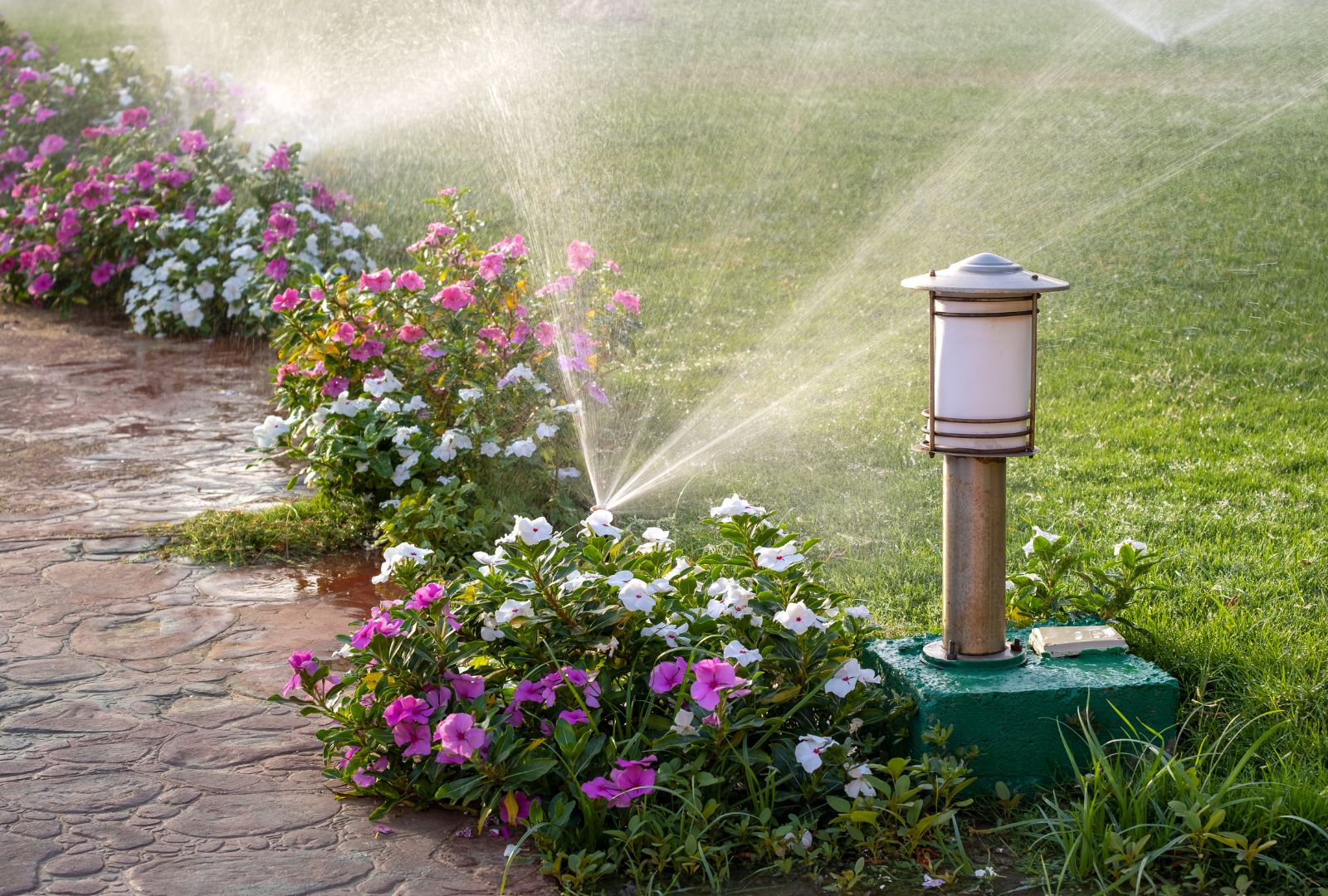 Eco-friendly irrigation systems that conserve water and promote sustainable landscaping